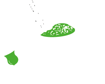 sabadin branco